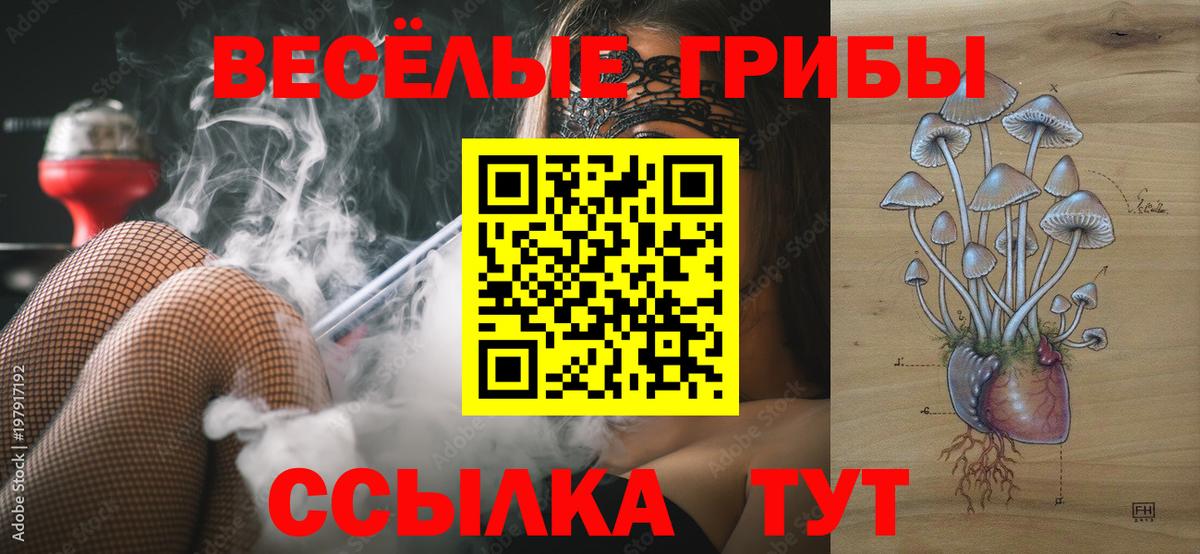 Галлюциногенные грибы MAGIC MUSHROOMS  Вход с VPN  Зеленодольск  Псилоцибиновые грибы мицелий 